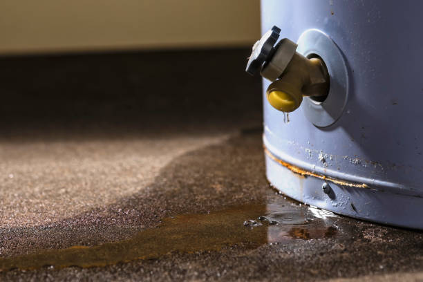 Best Water damage restoration near me  in Naples, FL