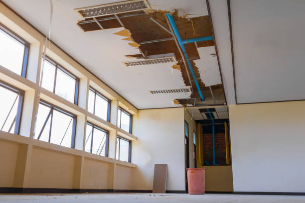 Best Carpet water damage restoration  in Naples, FL