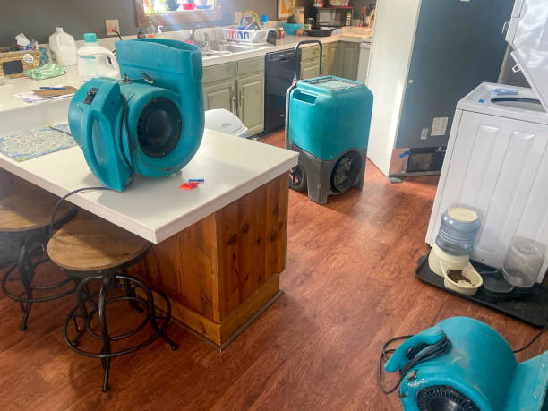 Best Ceiling water damage repair  in Naples, FL