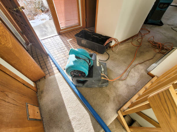 Best Flooded house restoration  in Naples, FL