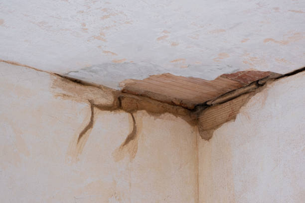 Carpet water damage restoration in Naples, FL