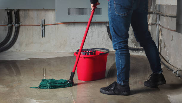Best Local water damage restoration  in Naples, FL