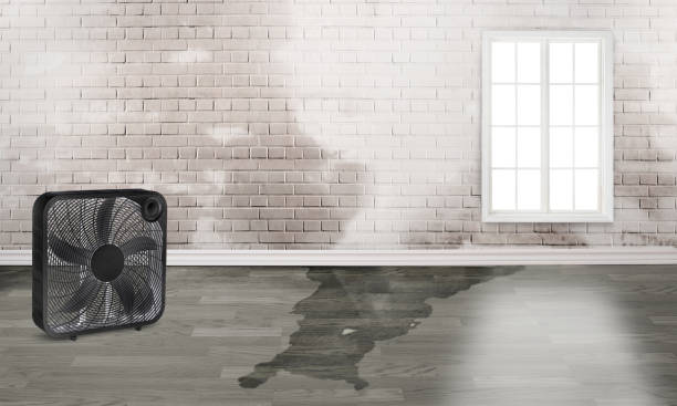 Best Residential water damage restoration  in Naples, FL