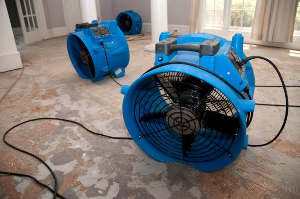 Best Basement water damage restoration  in Naples, FL
