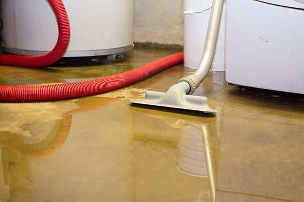 Best Mold removal after water damage  in Naples, FL