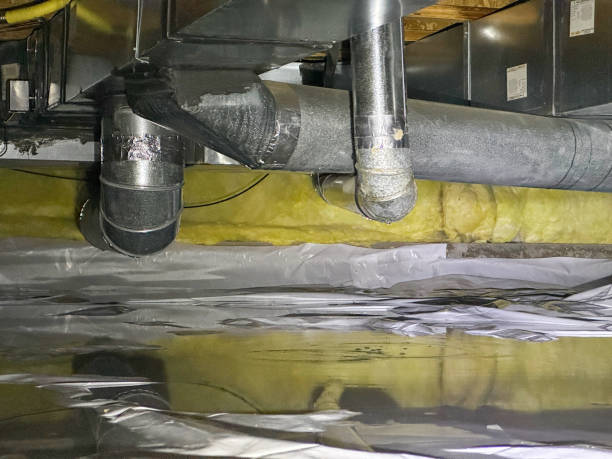 Best Water damage restoration insurance claims  in Naples, FL