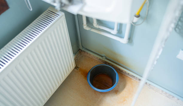 Best Flood damage cleanup  in Naples, FL