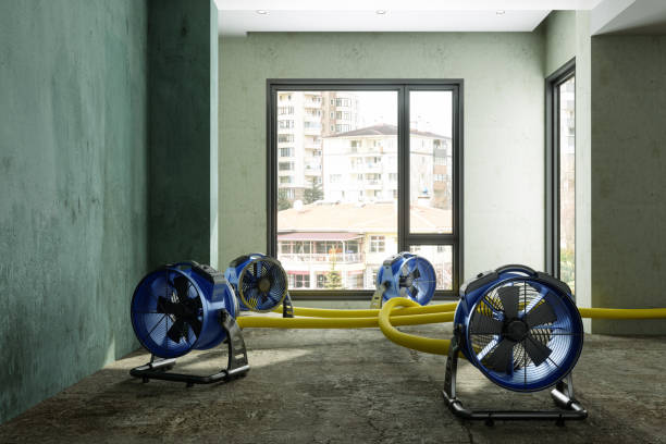Local water damage restoration in Naples, FL
