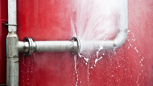 Best Mold removal after water damage  in Naples, FL